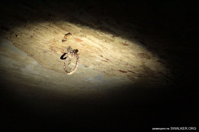 Поселок Венцы, Краснодарский край Поселок Венцы, Краснодарский край