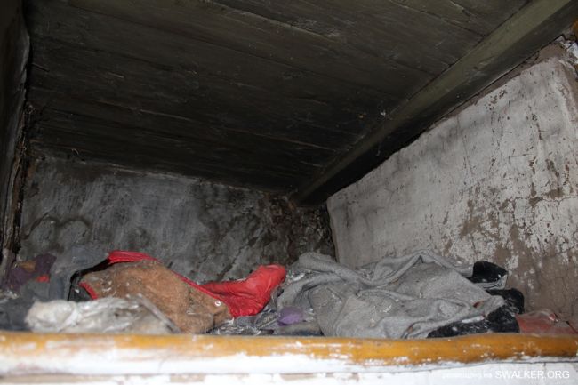 Село Боровая Полянщина, Саратовская область