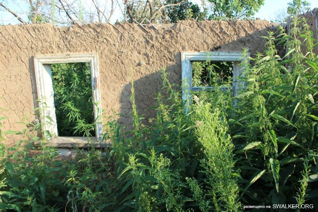 Село Боровая Полянщина, Саратовская область