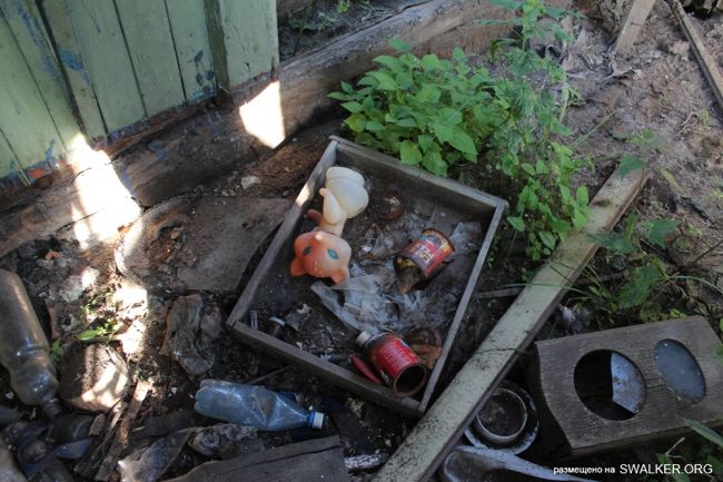 Село Боровая Полянщина, Саратовская область