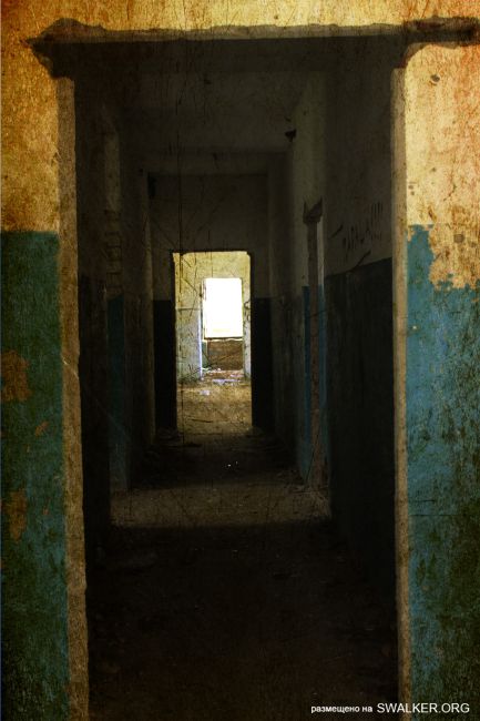 Заброшенная школа, с. Красная Звезда