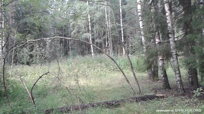 Детский Оздоровительный Лагерь "Валдайское озеро", Ивановская область