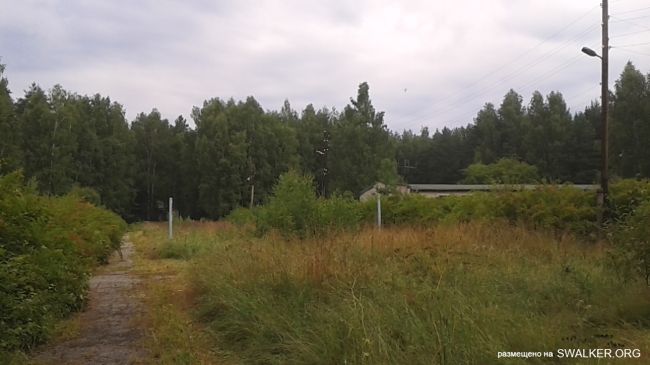 Детский Оздоровительный Лагерь "Валдайское озеро", Ивановская область