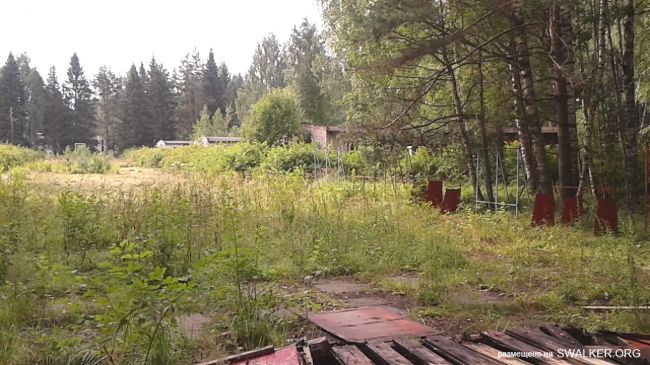 Детский Оздоровительный Лагерь "Валдайское озеро", Ивановская область