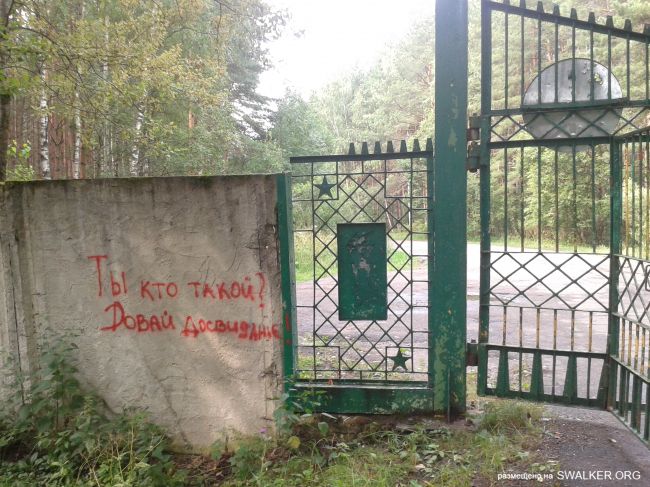 Детский Оздоровительный Лагерь "Валдайское озеро", Ивановская область