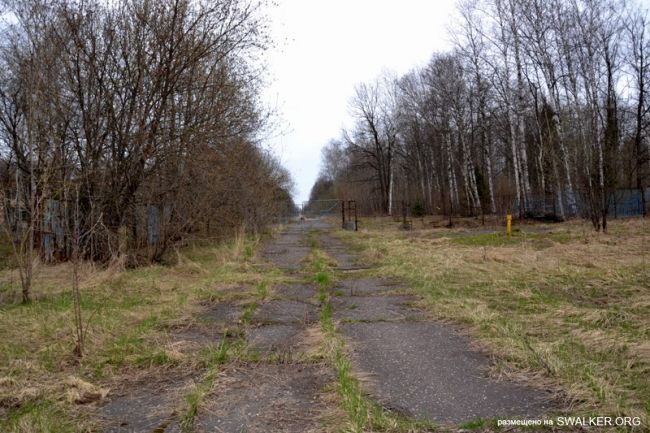 Детский оздоровительный лагерь ЗИЛ, Московская область