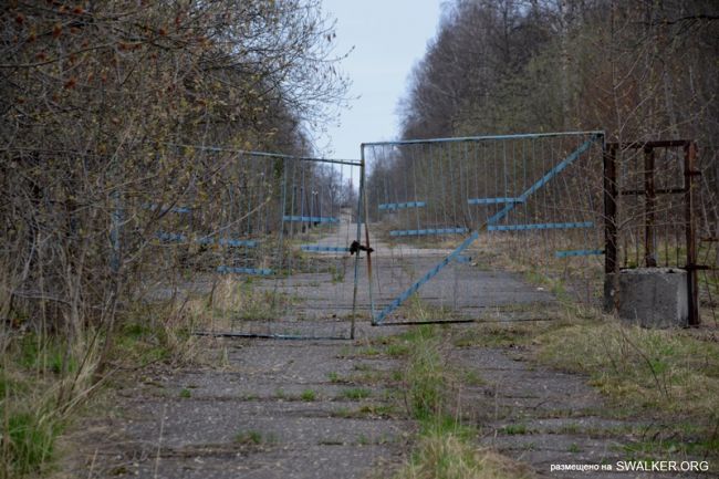Детский оздоровительный лагерь ЗИЛ, Московская область