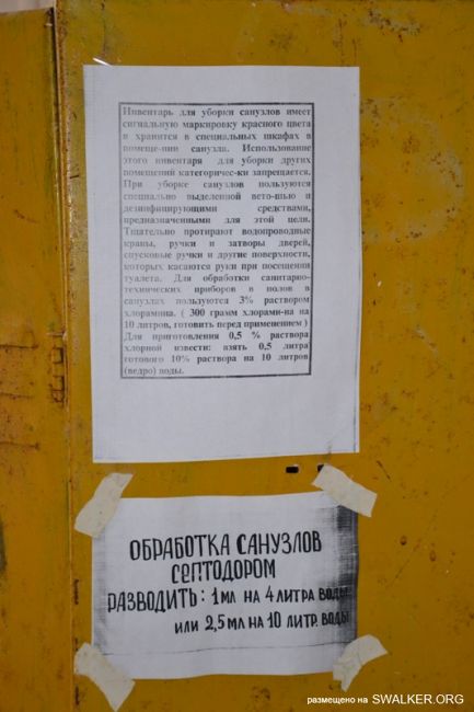 Детский оздоровительный лагерь ЗИЛ, Московская область
