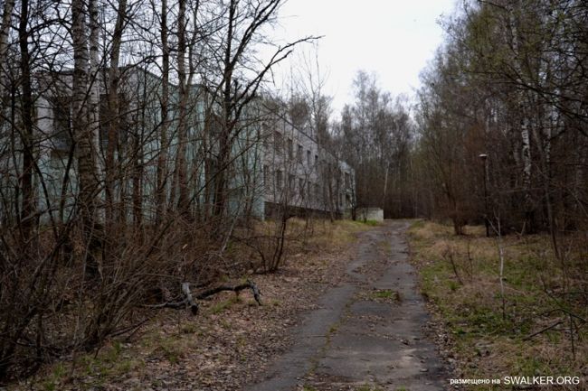 Детский оздоровительный лагерь ЗИЛ, Московская область