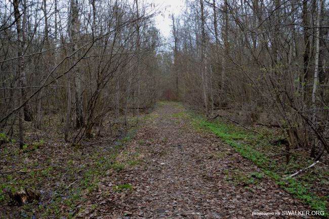 Детский оздоровительный лагерь ЗИЛ, Московская область