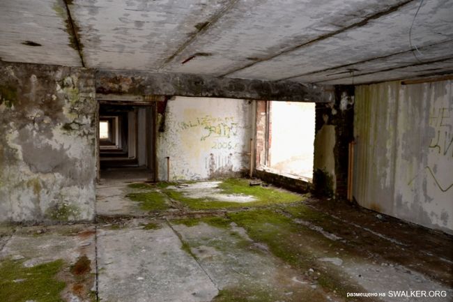 Детский оздоровительный лагерь ЗИЛ, Московская область