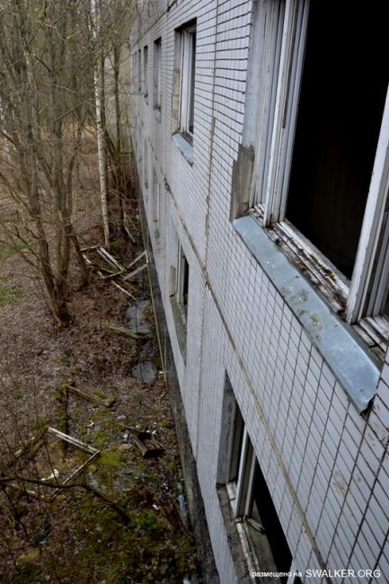 Детский оздоровительный лагерь ЗИЛ, Московская область