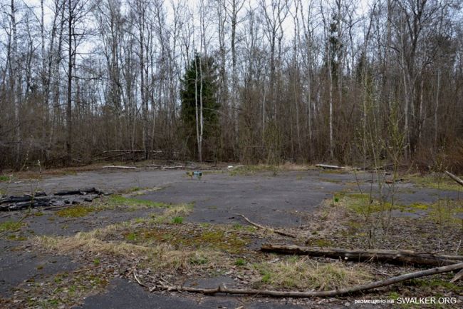 Детский оздоровительный лагерь ЗИЛ, Московская область