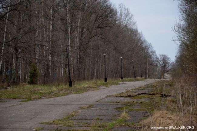 Детский оздоровительный лагерь ЗИЛ, Московская область