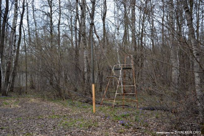 Детский оздоровительный лагерь ЗИЛ, Московская область