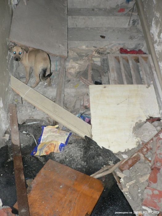 Заброшенный клуб, Ростовская область