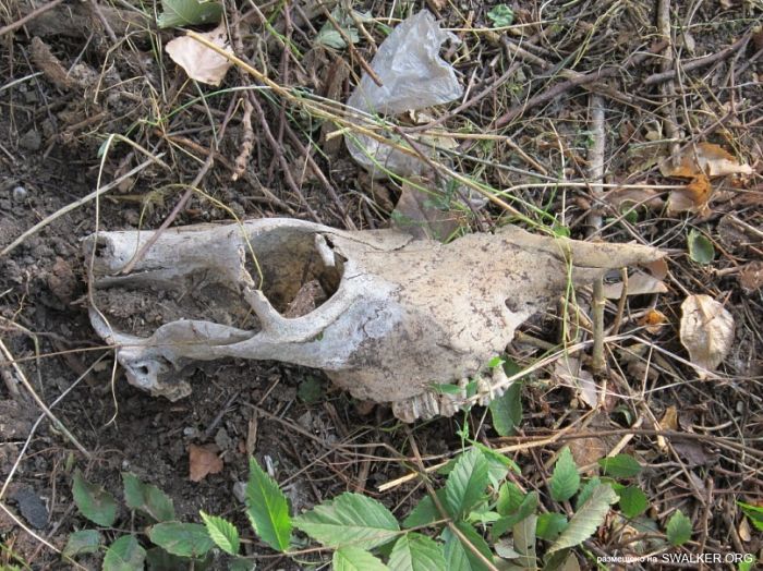 Лаборатория ядерной физики РГУ, Ростовская область