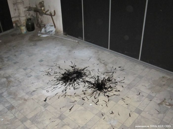 Лаборатория ядерной физики РГУ, Ростовская область