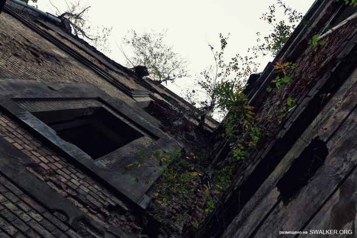 Усадьба Храповицкого в Муромцеве