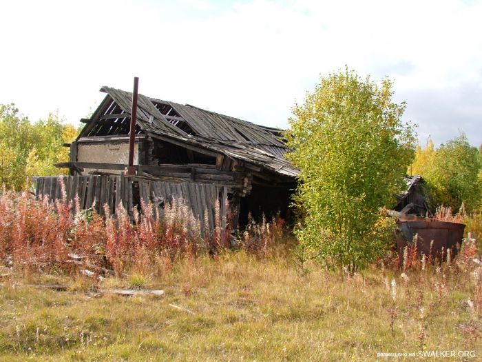 Заброшенная колония поселения, Республика Коми
