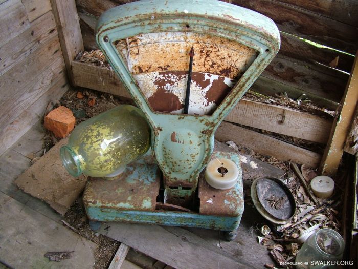 Заброшенная колония поселения, Республика Коми