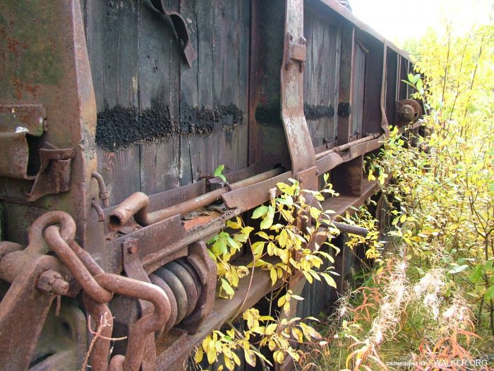 Заброшенная колония поселения, Республика Коми