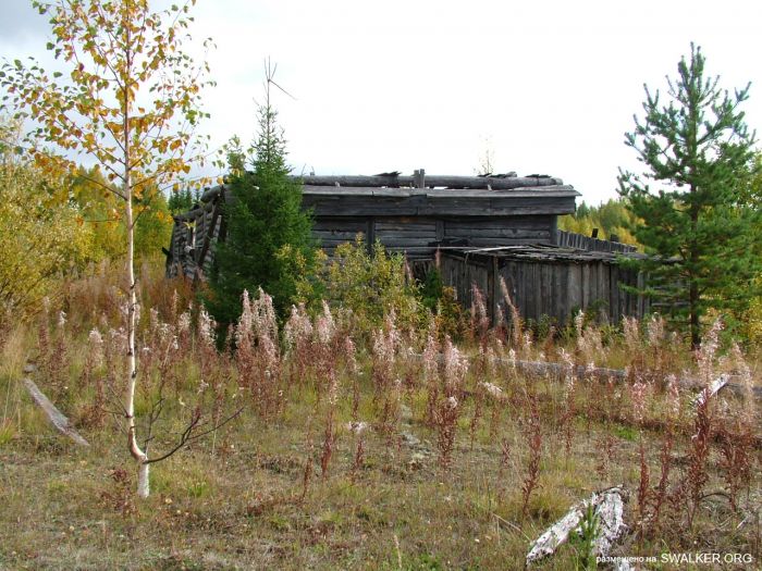Заброшенная колония поселения, Республика Коми