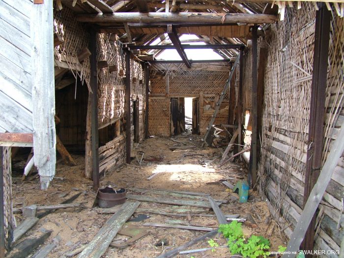 Заброшенная колония поселения, Республика Коми