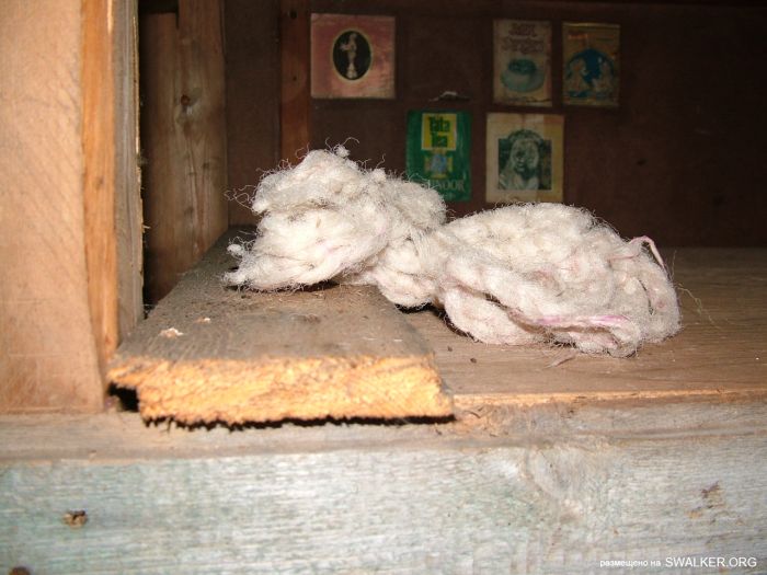 Заброшенная колония поселения, Республика Коми