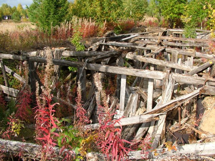 Заброшенная колония поселения, Республика Коми