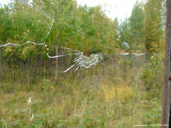 Заброшенная колония поселения, Республика Коми