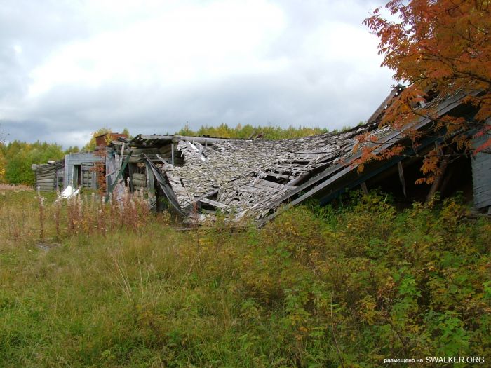 Заброшенная колония поселения, Республика Коми