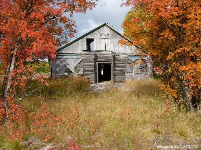 Заброшенная колония поселения, Республика Коми
