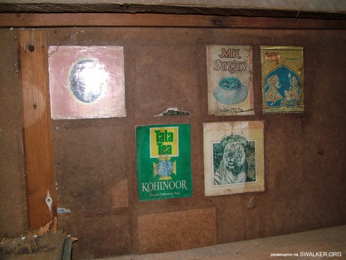 Заброшенная колония поселения, Республика Коми