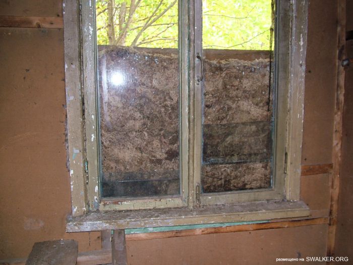 Заброшенная колония поселения, Республика Коми