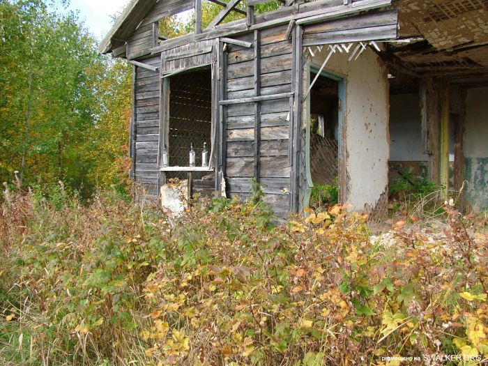 Заброшенная колония поселения, Республика Коми