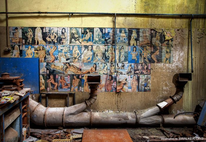 Заброшенные цеха завода "М", Московская область