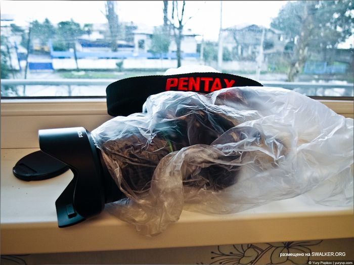 Абхазкий Сайлент Хилл, Ткварчал