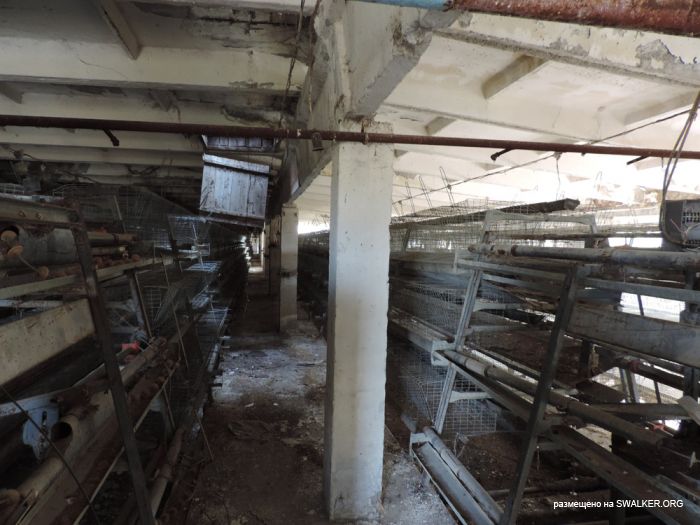 Птицефабрика Торангалык, Казакстан