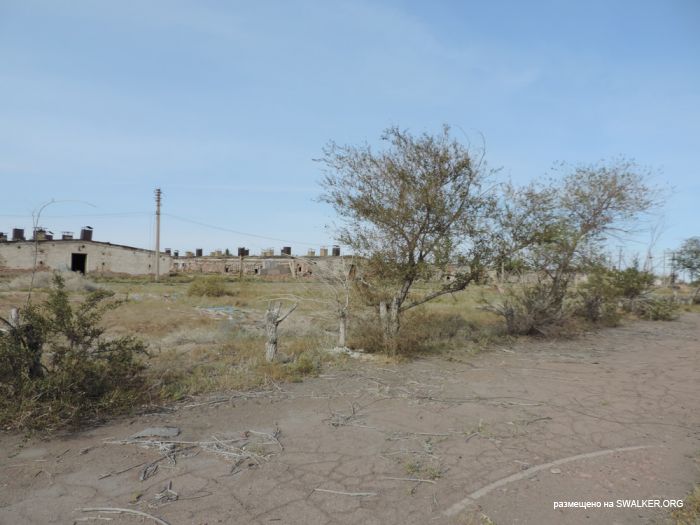 Птицефабрика Торангалык, Казакстан