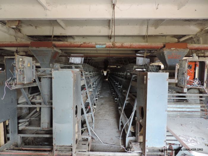 Птицефабрика Торангалык, Казакстан