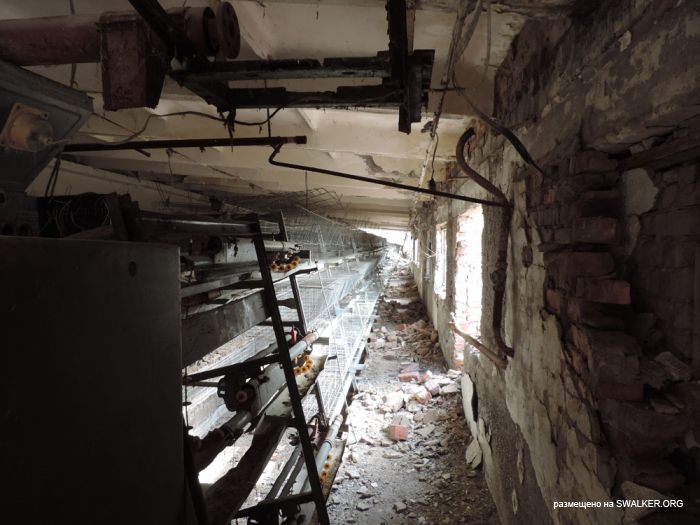 Птицефабрика Торангалык, Казакстан