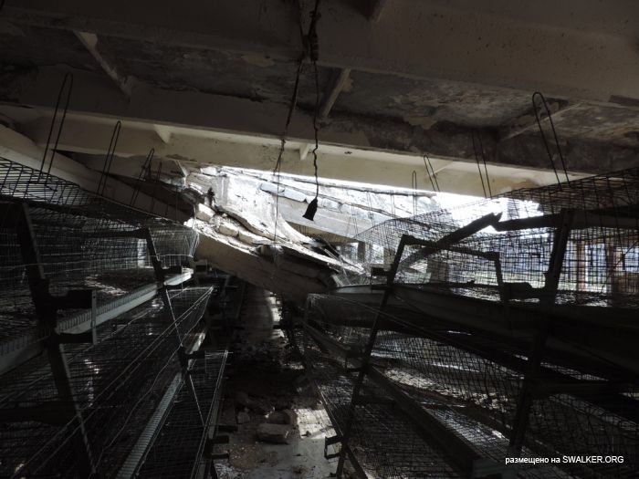 Птицефабрика Торангалык, Казакстан