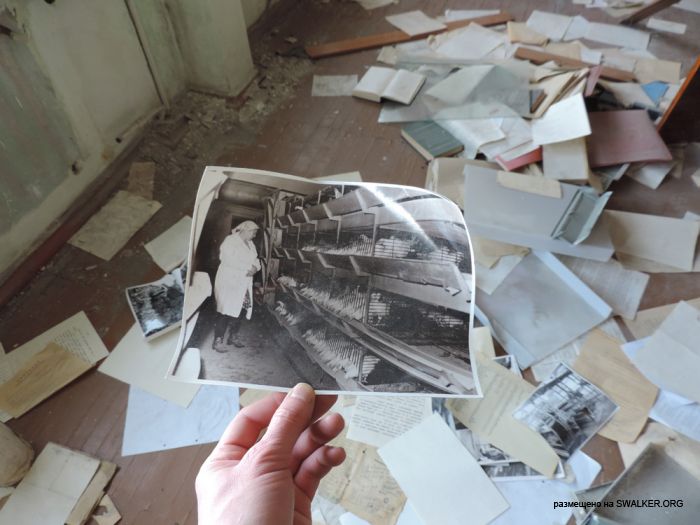 Птицефабрика Торангалык, Казакстан