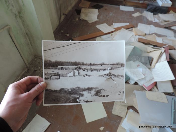 Птицефабрика Торангалык, Казакстан