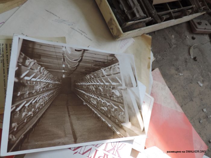 Птицефабрика Торангалык, Казакстан