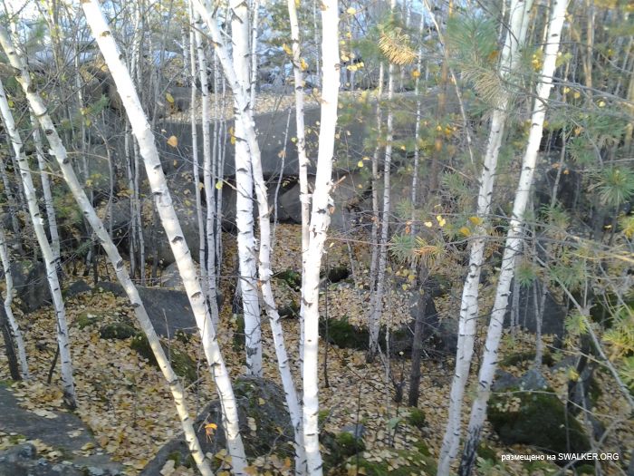 Карьер по добыче камня, Свердловская область Карьер по добыче камня, Свердловская область