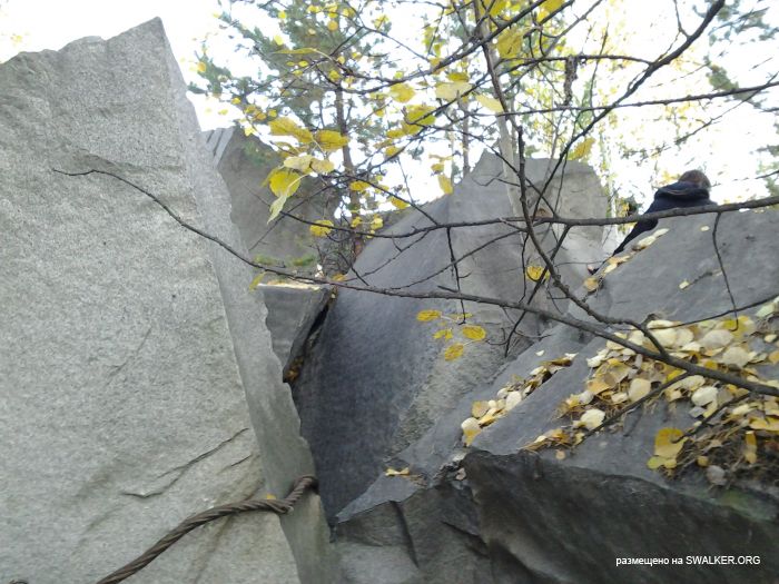 Карьер по добыче камня, Свердловская область Карьер по добыче камня, Свердловская область