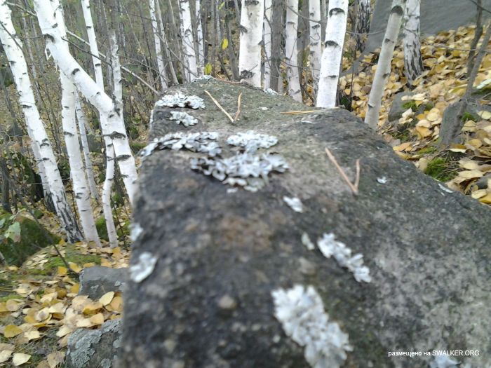 Карьер по добыче камня, Свердловская область Карьер по добыче камня, Свердловская область