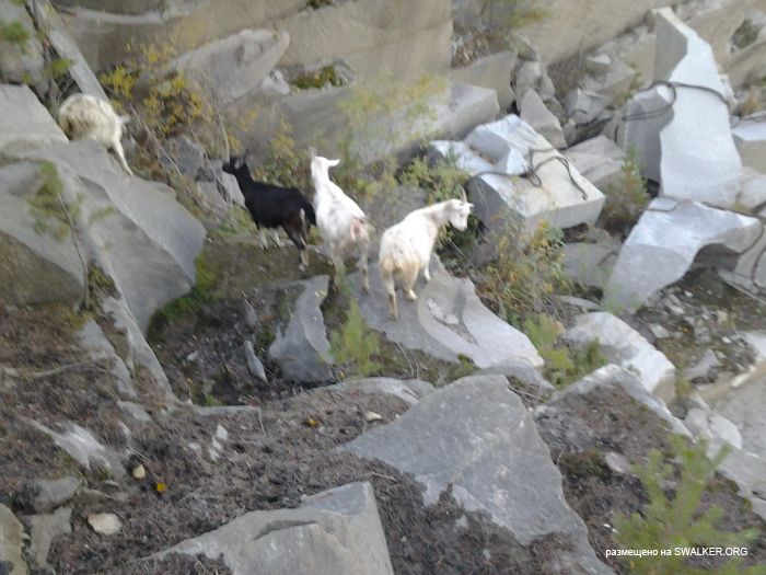 Карьер по добыче камня, Свердловская область Карьер по добыче камня, Свердловская область